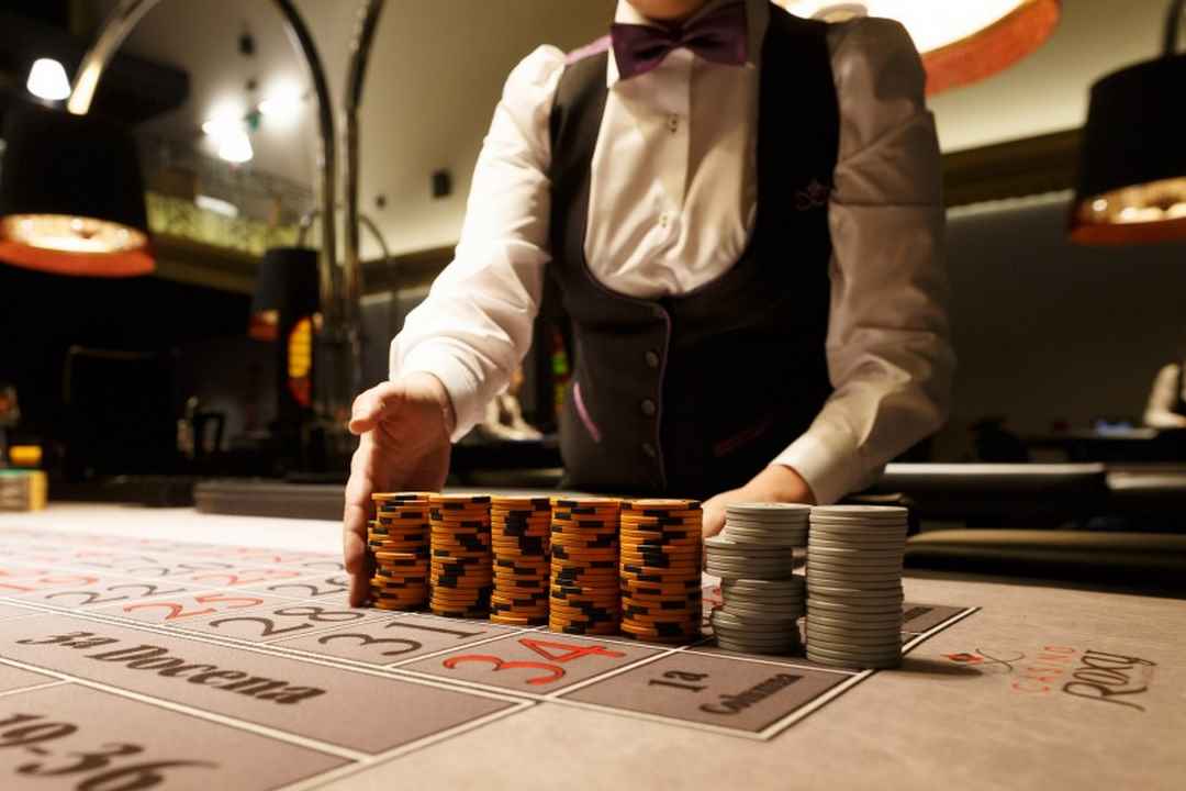 Kinh nghiệm chơi bài quý giá tại Casino Roxy mà bạn nên biết