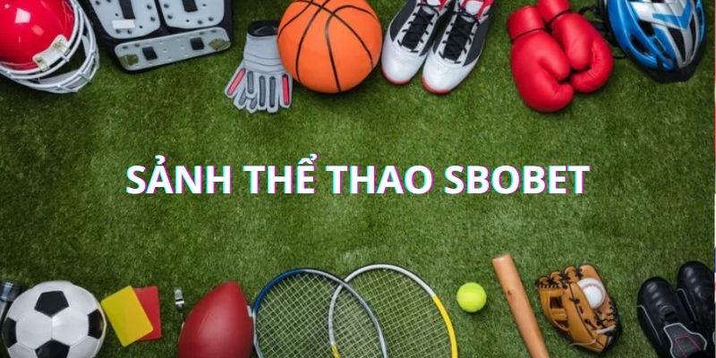 Sảnh thể thao đẳng cấp quốc tế tại Việt Nam